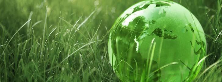 F-gas ambiente paganini graziano